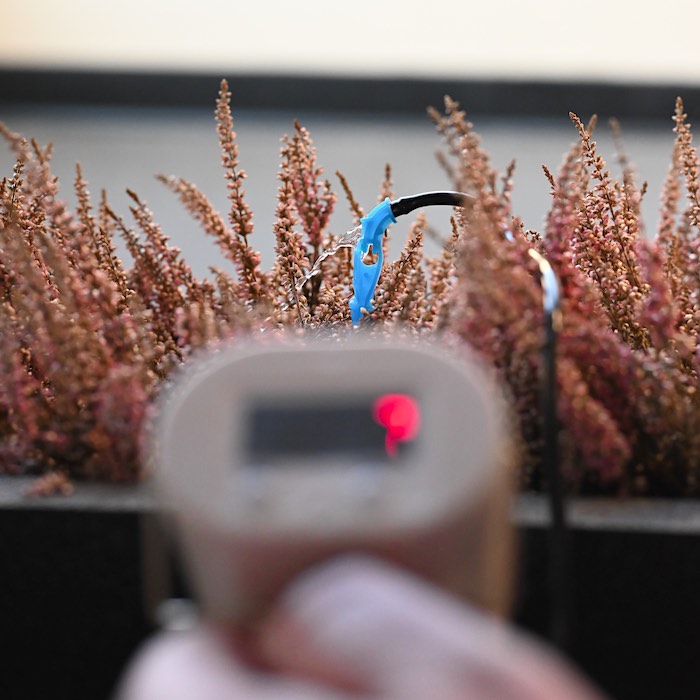 Automatic Flower Watering (6-pack)