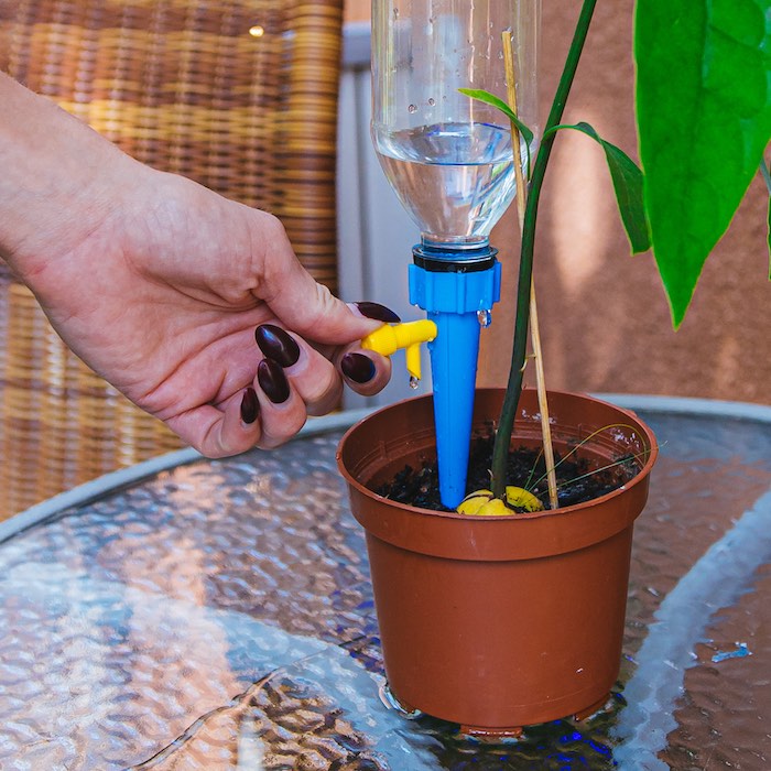 Automatic Flower Watering (6-pack)