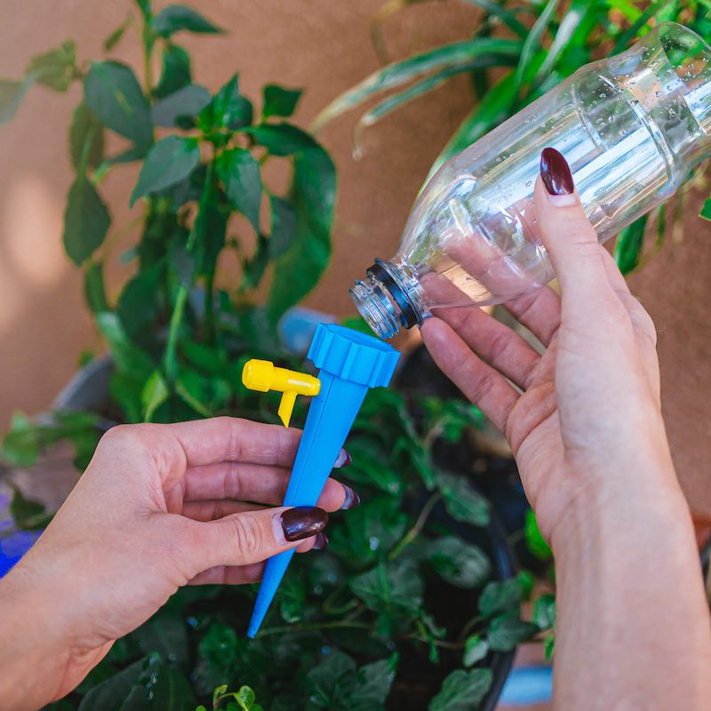 Automatic Flower Watering (6-pack)