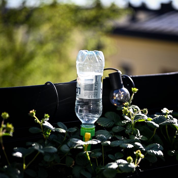 Automatic Flower Watering (6-pack)